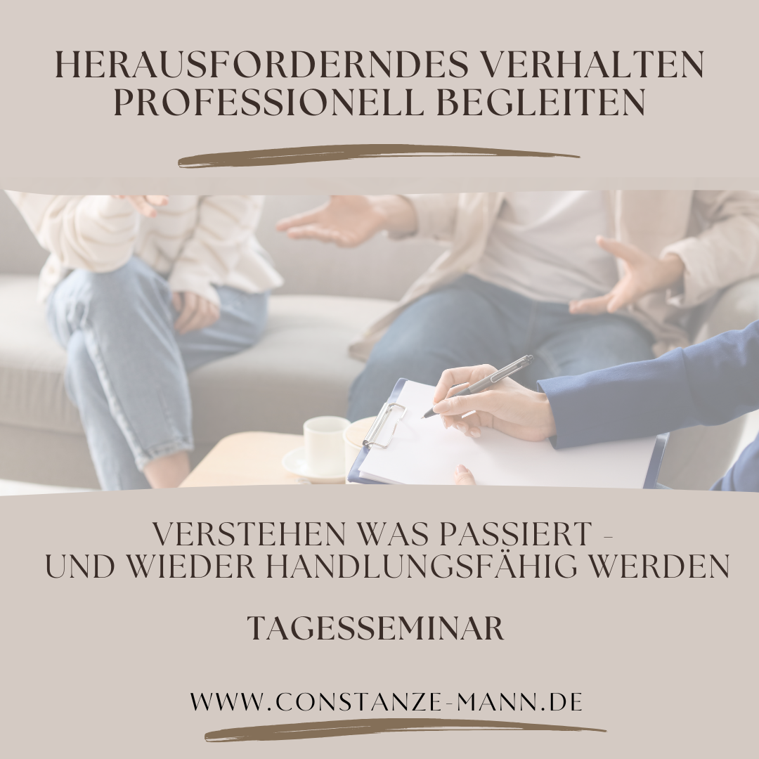 Herausforderndes Verhalten professionell begleiten